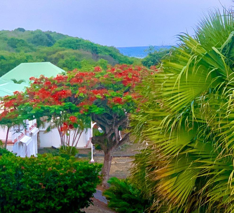 Le Titouloulou 1023 Anse Des Rochers Saint-Francois  Esterno foto